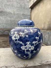 （已鉴真）晚清青花留白冰梅罐，大号的，含盖子18.2cm，不含盖16cm，画的特别细路，带花苞非一般版本，带原装原盖，全品。你值得拥有！