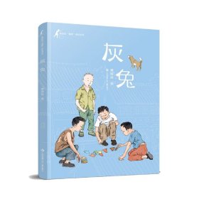 黄蓓佳童眸美绘书系：灰兔