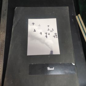 摄影作品34：同一来源系列之动物照片二张，作者不同，黑白