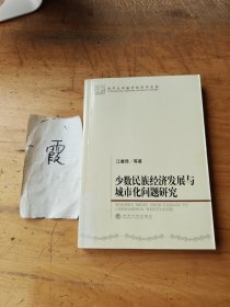 少数民族经济发展与城市化问题研究