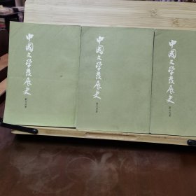 中国文学发展史（上，中，下）全套
