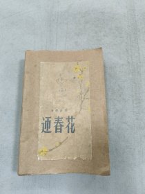 迎春花