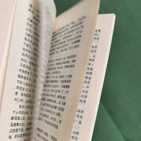神雕侠侣前传。金庸著作。
