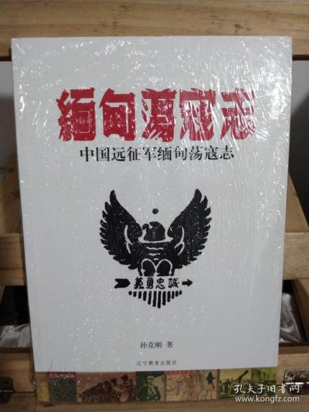 中国远征军缅甸荡寇志