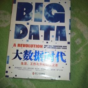 大数据时代：生活、工作与思维的大变革【全新】