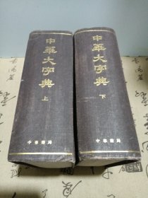 中华大字典（上下册）