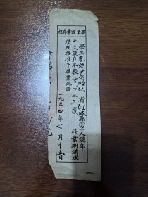 毕业证 毕业证书存根 （1954年松江省）