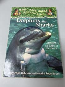 Dolphins and Sharks