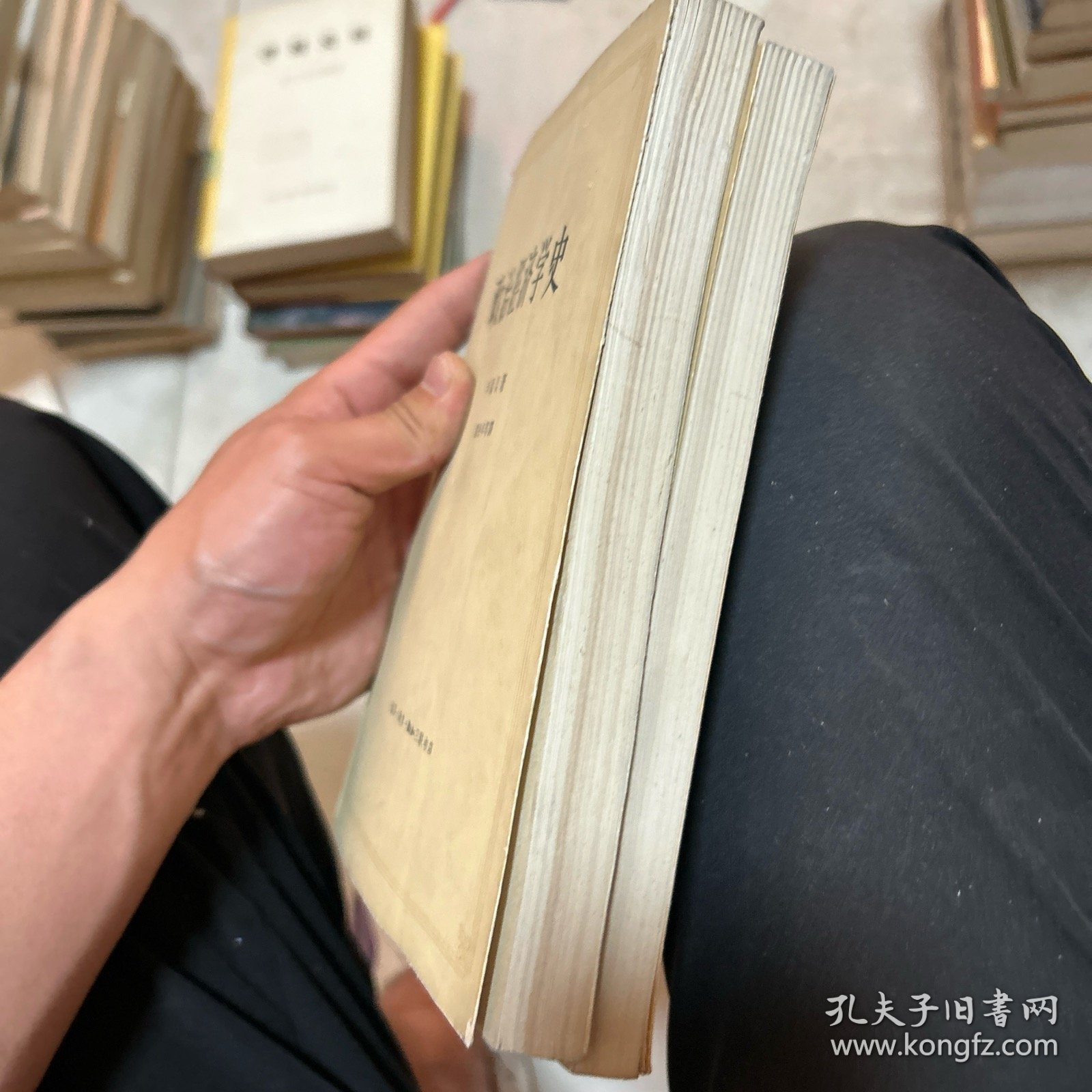 政治经济学史 上下