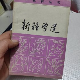 新疆雪蓮