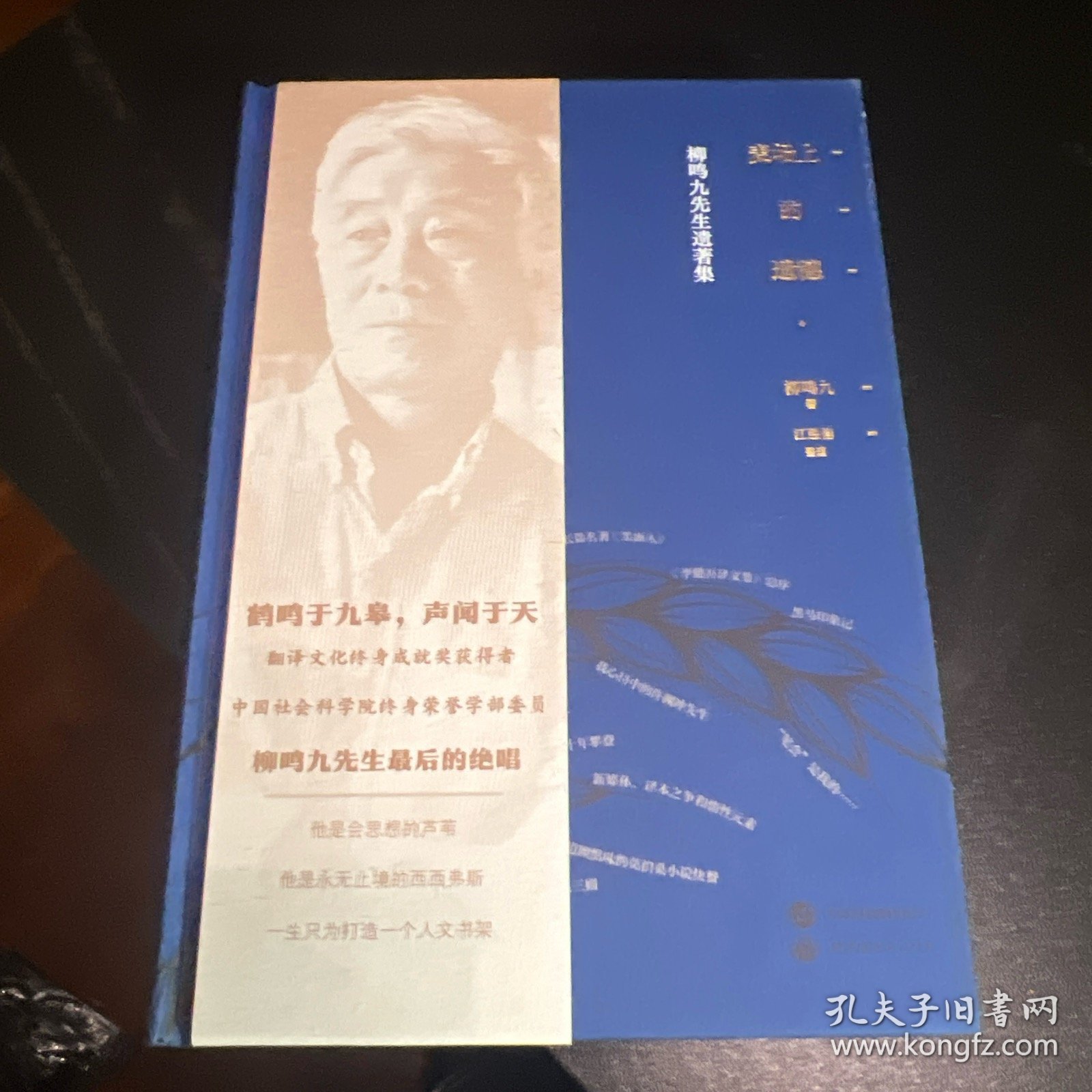 麦场上的遗穗：柳鸣九先生遗著集