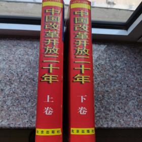 中国改革开放二十年:1978～1998（全二卷，大16开厚重本）两卷合售