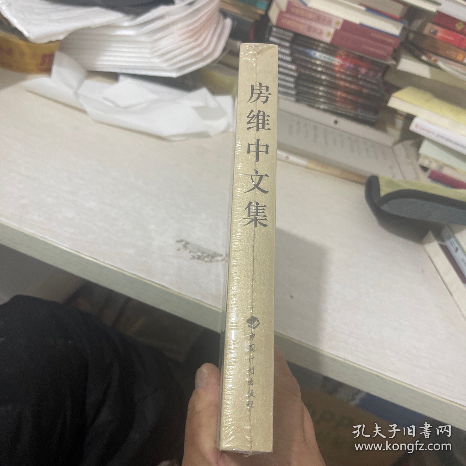 房维中文集