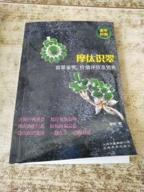 摩㑀识翠-翡翠鉴赏.价值评估及贸易 有作者签名 实物拍图 现货