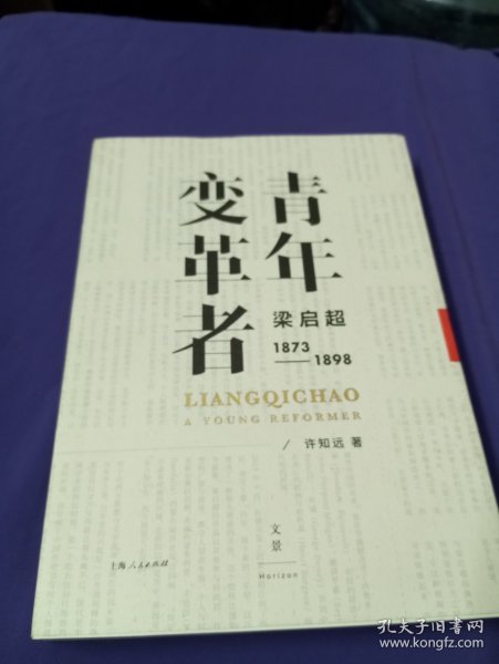 青年变革者：梁启超（1873—1898）