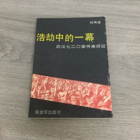 浩劫中的一幕：武汉七二○事件亲历记