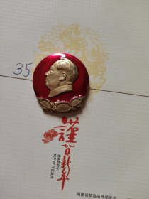 白农革委会像章