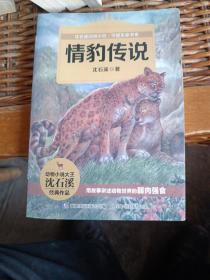 动物小说大王沈石溪守望生命书系 情豹传说