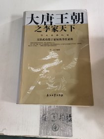 大唐王朝之李家天下