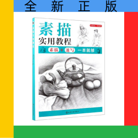 素描实用教程