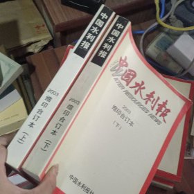 中国水利报 2003 缩印合订本 上下