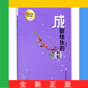 成群结伙的蚂蚁/我的科普图书馆