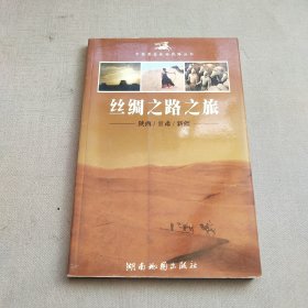 丝绸之路之旅(陕西甘肃新疆)