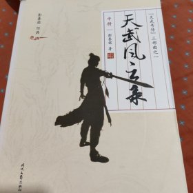 天武风云录(全三册)