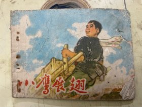 连环画：小鹰展翅