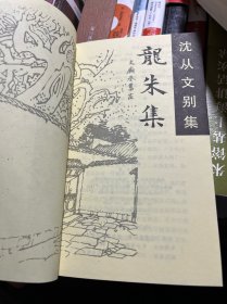 龙朱集 沈从文别集