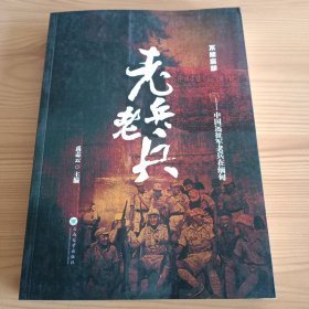 《老兵老兵——中国远征军老兵在缅甸》【正版现货，品如图，所有图片都是实物拍摄】