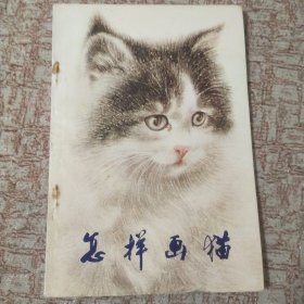 怎样画猫