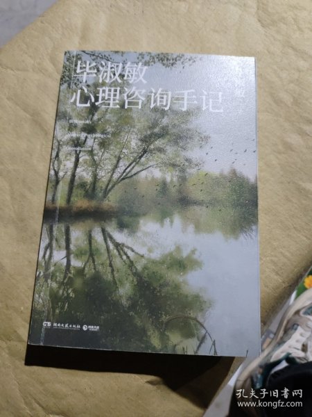 毕淑敏心理咨询手记（知名心理咨询师毕淑敏代表作，31个震撼人心的心理咨询案例）