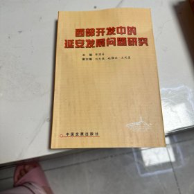 西部开发中的延安发展问题研究