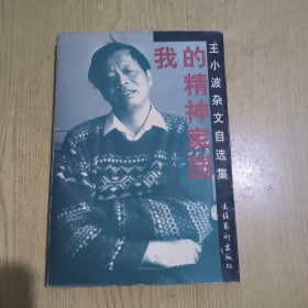 我的精神家园：王小波杂文自选集
