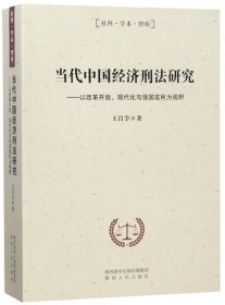 【正版新书】当代中国经济刑法研究