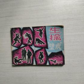 连环画 生擒壁虎