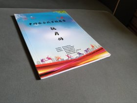 2020中国南京武术精英赛秩序册
