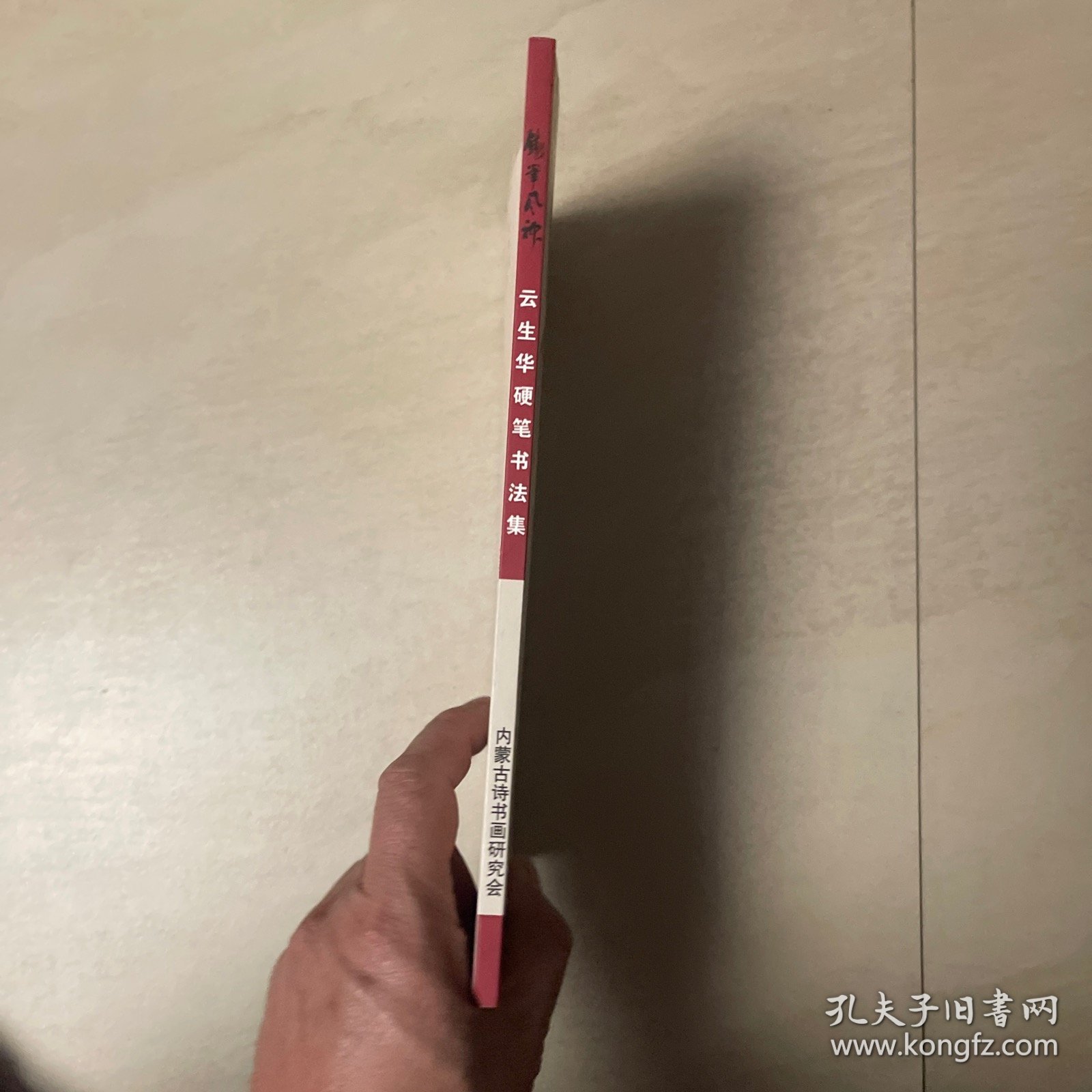 铁笔风神-云生华硬笔书法集 【书内有铁笔、竹笔、中性笔、自来水钢笔等硬笔书法，草书、行书、行草、楷书等】