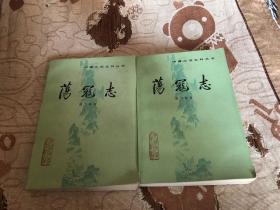 荡寇志  （上下）