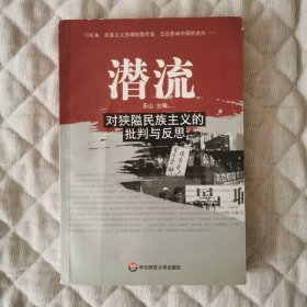 潜流：对狭隘民族主义的批判与反思