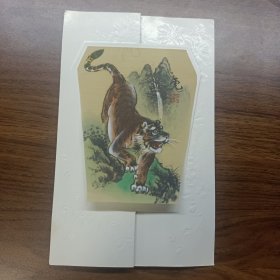 中国长春皇宫游览纪念卡片明信片照片（虎）怀旧老物件
