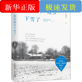 我的故乡下雪了