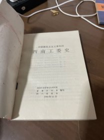 中国新民主主义青年团西南工委史