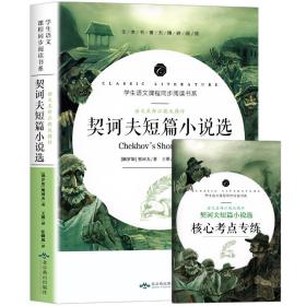 语文教材配套阅读书系-语文名师汪晓风精评契诃夫短篇小说选 9787540252304