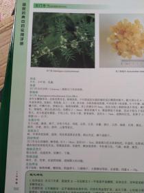 国家药典中药实用手册（上中下三册全）