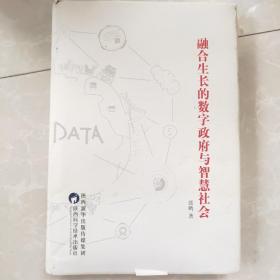 融合生长的数字政府与智慧社会