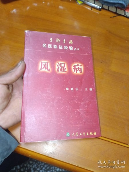 风湿病（专科专病名医临证经验丛书）