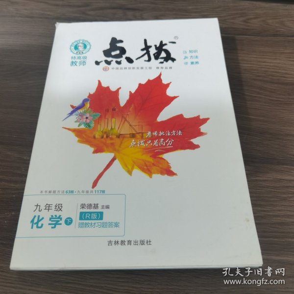 荣德基初中系列·特高级教师点拨：9年级化学（下）（R版）