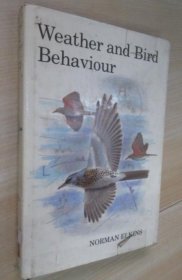 Weather and Bird Behaviour